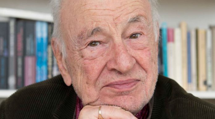 Edgar Morin comenta sobre as formas do prazer estético