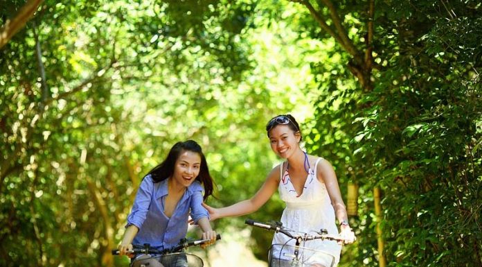 20 minutos de contato com a natureza diminuem os níveis de hormônio do estresse