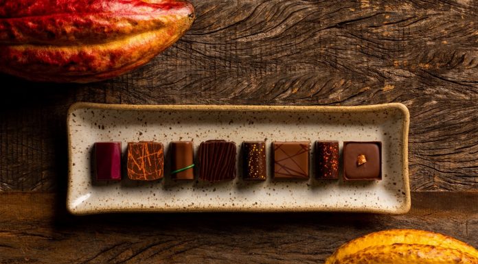 Cacau da Bahia na produção de chocolates, por Luciana Lobo