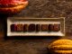 Cacau da Bahia na produção de chocolates, por Luciana Lobo