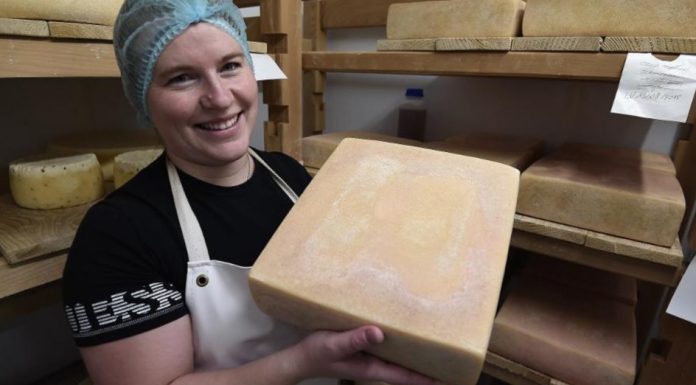 Queijo francês, acidentalmente criado durante o isolamento