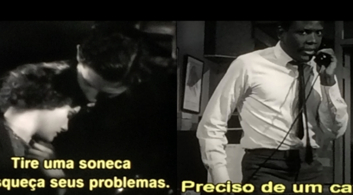 Jac Leirner : compreender o todo pelas partes