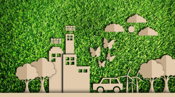 Como a poluição das ruas afeta a nossa casa?