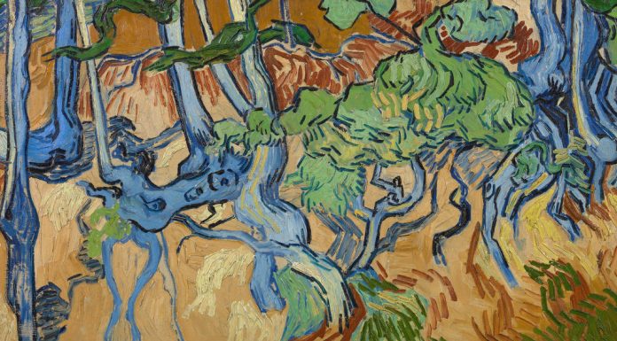 Especialista descobre local de última pintura de Van Gogh