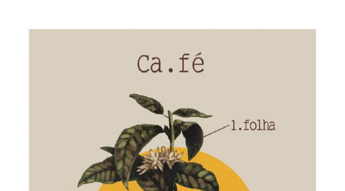 Prove cafés especiais na ‘São Paulo Coffee Fest #EmCasa’