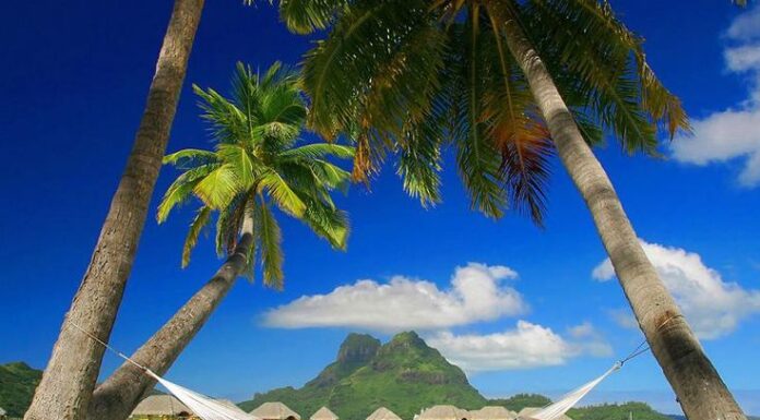 Planejando a Viagem dos Sonhos: Dicas para Realizar Seu Roteiro Perfeito