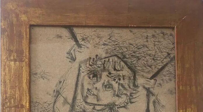 Darcy Penteado: Uma Vida Dedicada à Arte e à Transformação Social