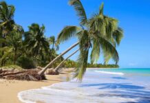 Descubra os Tesouros do Nordeste do Brasil: Os Melhores Pontos Turísticos para Explorar na Região