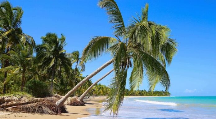 Descubra os Tesouros do Nordeste do Brasil: Os Melhores Pontos Turísticos para Explorar na Região