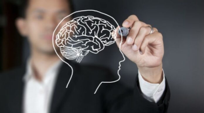 10 Dicas para Maximizar a Aprendizagem e Desenvolvimento Pessoal