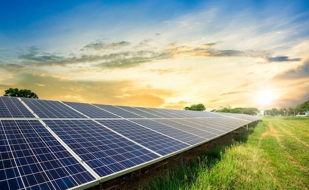 Avanços Recentes na Utilização de Placas Solares Sinalizam Crescimento Sustentável