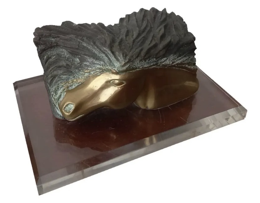Roberto Vivas: O Escultor que Transforma Movimento e Emoção em Arte A escultura tem o poder singular de tornar permanentes os gestos, os sentimentos e os movimentos da vida. Entre os artistas brasileiros que dedicaram sua trajetória a essa linguagem, Roberto Vivas destaca-se pela capacidade de traduzir emoção e dinamismo em formas tridimensionais de grande impacto visual. Com uma carreira consolidada no cenário artístico nacional, Vivas desenvolveu uma produção marcada pela valorização da figura humana, pela pesquisa constante dos materiais e pela busca de uma arte acessível, capaz de dialogar com diferentes públicos. Ao longo de décadas de trabalho, Roberto Vivas construiu uma identidade artística própria, reconhecida principalmente por suas esculturas em bronze. Suas obras revelam um profundo conhecimento da anatomia humana, mas vão além da simples representação do corpo. Em cada peça, o artista procura capturar sentimentos, narrativas e movimentos que tornam suas esculturas vivas e expressivas. Nascido no Brasil, Vivas demonstrou desde cedo interesse pelas artes visuais. Seu contato com o desenho, a modelagem e a observação da figura humana contribuiu para o desenvolvimento de uma sensibilidade artística que mais tarde se transformaria em profissão. Como muitos escultores, iniciou sua trajetória explorando diferentes técnicas e materiais, experimentando caminhos que lhe permitiram construir uma linguagem própria. A figura humana tornou-se o centro de sua produção artística. Em vez de buscar uma reprodução fotográfica da realidade, Roberto Vivas trabalha a forma de maneira expressiva, destacando gestos, movimentos e atitudes que comunicam emoções universais. Suas esculturas frequentemente retratam bailarinos, músicos, atletas, casais e personagens em situações de interação, criando obras que parecem suspender um instante da vida no tempo. Uma das características mais marcantes de seu trabalho é a sensação de movimento. Mesmo quando executadas em materiais pesados como o bronze, suas esculturas transmitem leveza e dinamismo. Corpos inclinados, braços estendidos e composições equilibradas sugerem deslocamento e energia, aproximando suas obras da dança e da performance. O bronze tornou-se um dos materiais mais associados à sua produção. Tradicional na história da escultura, esse metal oferece resistência, durabilidade e riqueza de detalhes. Nas mãos de Roberto Vivas, porém, o bronze deixa de ser apenas matéria e transforma-se em veículo de expressão. O artista utiliza texturas, volumes e superfícies cuidadosamente trabalhadas para criar peças que combinam força e delicadeza. Entre os temas recorrentes em sua obra está a celebração da cultura e das manifestações artísticas. Dançarinos de tango, músicos e personagens ligados ao universo da música aparecem frequentemente em suas esculturas. Essas figuras não são representadas apenas como indivíduos, mas como símbolos da criatividade humana e da capacidade da arte de unir pessoas e culturas. Um exemplo conhecido dessa abordagem é a escultura dedicada ao tango, instalada em espaço público na cidade de São Paulo. A obra representa um casal em movimento, capturando a elegância e a intensidade emocional dessa dança tradicional. Mais do que retratar uma cena específica, a escultura simboliza a conexão entre duas pessoas por meio da música e da expressão corporal. Além das esculturas figurativas, Roberto Vivas também explorou composições de caráter mais simbólico. Em diversas obras, elementos abstratos dialogam com a figura humana, criando interpretações abertas que estimulam a participação do observador. Essa capacidade de equilibrar representação e simbolismo contribui para a riqueza de sua produção. Outro aspecto importante de sua trajetória é a presença da arte em espaços públicos. Vivas acredita que a escultura deve estar próxima das pessoas e fazer parte do cotidiano urbano. Por isso, muitas de suas obras foram concebidas para praças, parques, edifícios e ambientes de circulação coletiva. Essas instalações permitem que a arte seja experimentada de forma direta, sem as barreiras frequentemente associadas aos museus e galerias. Ao longo da carreira, o artista participou de inúmeras exposições individuais e coletivas, conquistando reconhecimento entre críticos, colecionadores e apreciadores das artes visuais. Suas obras passaram a integrar importantes coleções privadas e espaços culturais, ampliando sua presença no cenário artístico brasileiro. A produção de Roberto Vivas também evidencia uma preocupação constante com a técnica. O processo de criação de uma escultura envolve etapas complexas de desenho, modelagem, moldagem e fundição. O artista domina cada uma dessas fases com precisão, garantindo que a ideia inicial seja preservada até o resultado final. Essa combinação entre conhecimento técnico e sensibilidade criativa é uma das razões do sucesso de seu trabalho. Críticos frequentemente destacam a capacidade de Vivas de criar esculturas que estabelecem uma conexão imediata com o público. Mesmo pessoas sem formação artística conseguem identificar emoções e narrativas em suas obras. Essa comunicação direta é resultado de uma linguagem visual clara e universal, baseada em experiências humanas compartilhadas. Em um período marcado pelo crescimento da arte conceitual e das linguagens digitais, Roberto Vivas manteve viva a tradição escultórica sem abrir mão da contemporaneidade. Seu trabalho demonstra que a escultura continua sendo uma forma poderosa de expressão artística, capaz de emocionar, inspirar e transformar espaços. Mais do que representar figuras humanas, suas obras celebram aspectos fundamentais da existência: o amor, a música, o movimento, a convivência e a criatividade. Cada escultura funciona como um convite à contemplação e ao diálogo, aproximando arte e vida de maneira natural. Hoje, Roberto Vivas ocupa um lugar de destaque entre os escultores brasileiros contemporâneos. Sua trajetória revela a importância da dedicação, da pesquisa e da paixão pela arte. Por meio do bronze e da forma, ele construiu um legado que continua encantando diferentes gerações, reafirmando a capacidade da escultura de traduzir emoções humanas em imagens permanentes e universais. 1