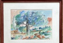 Nelson Coletti: Entre o Cartum e a Pintura, a Poesia da Natureza Brasileira