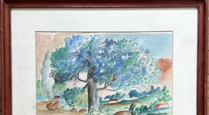 Nelson Coletti: Entre o Cartum e a Pintura, a Poesia da Natureza Brasileira
