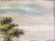 Clodomiro Amazonas: A Expressão da Paisagem e da Cultura Brasileira nas Artes Plásticas