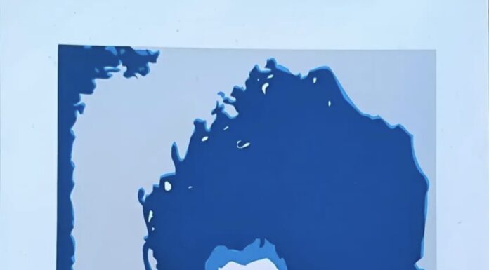 Daniel Paz: a força da imagem, da cor e do olhar na arte contemporânea