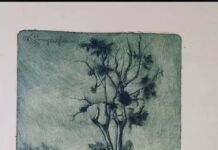 V. Impagliasso: a presença de uma assinatura no universo da arte