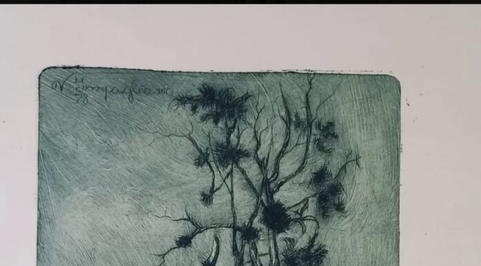 V. Impagliasso: a presença de uma assinatura no universo da arte