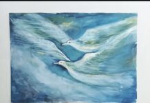 J. Ljuri: a delicadeza de uma arte que convida ao olhar