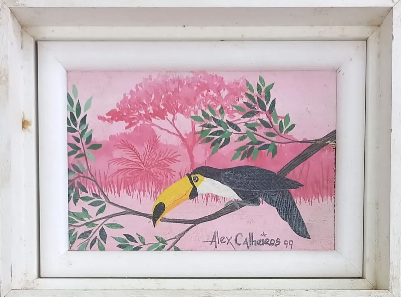 Alex Calheiros: natureza, cor e o olhar sobre a vida brasileira 1