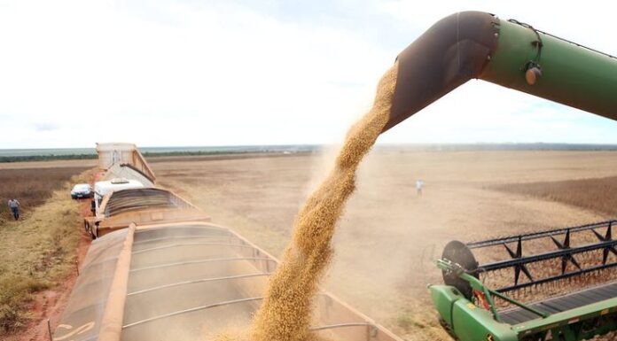 Feira de Agronegócio Promete Apresentar Inovações Tecnológicas para o Cultivo de Soja