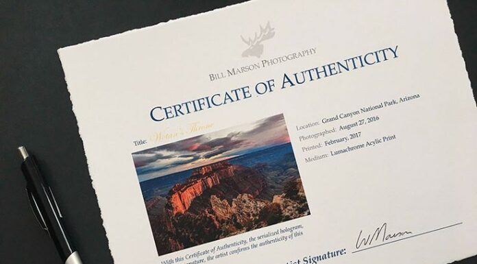 Certificado de Autenticidade: A Importância na Valorização e Proveniência de Obras de Arte