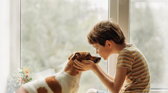 Conexão Inestimável: A Importância dos Contatos entre Crianças e Animais