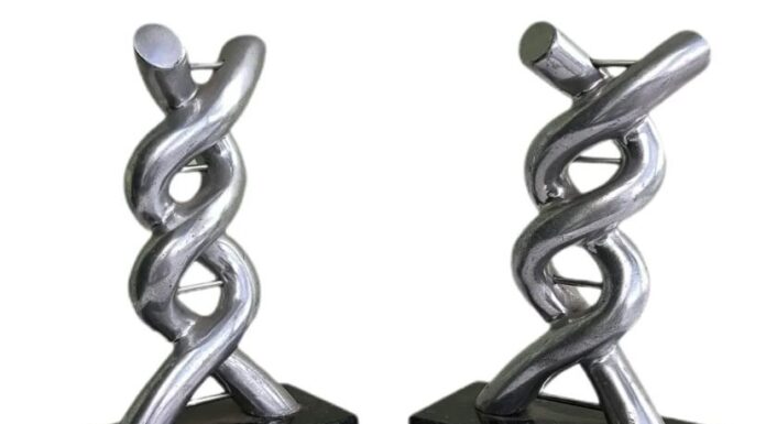 Enza Morgado: delicadeza, forma e expressão na arte contemporânea