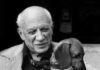 Pablo Picasso: o artista que revolucionou a arte moderna