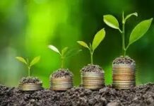 Bioeconomia: O Futuro Sustentável da Economia Global