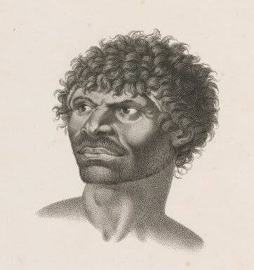 Curiosidades sobre o Artista Nicola Petit